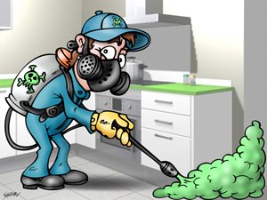 EMPRESA DE FUMIGACIONES DF ,SERVICIO DE FUMIGACIONES DF